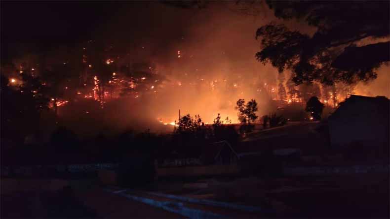 BMKG Catat 1.297 Titik Panas, Asap Terdeteksi di Sumatera, Kalimantan hingga Papua