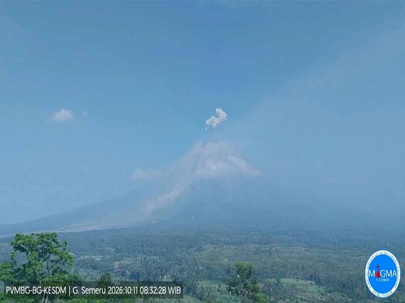 Gunung Semeru Erupsi Pagi Ini, Semburkan Kolom Abu Setinggi 800 Meter