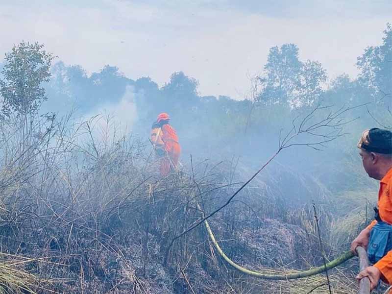 BNPB Catat Karhutla Masih Lahap 4.000 Hektare Lebih Lahan di Sumatera dan Kalimantan